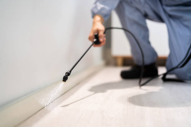 Licensed Termite Control service in Silver Creek, NY - Show Me Pest Control
